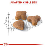 Feline Health Nutrition Sensible