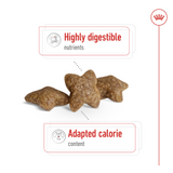 Size Health Nutrition Mini Adult