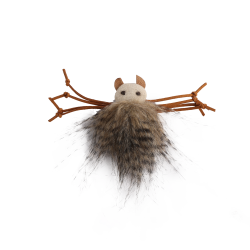 Classic Comfort-Silly Spider