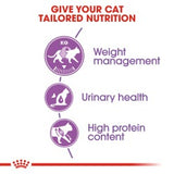 Feline Health Nutrition Sterilised