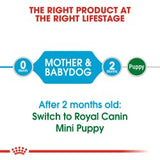 Size Health Nutrition Mini Starter 1 KG