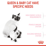 Feline Health Nutrition Mother & Babycat
