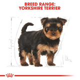 Breed Health Nutrition Yorkshire Puppy 500g