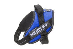 IDC Powerharness - Blue  Size Mini