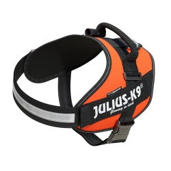 IDC High Visibility Powerharness - UV Orange  Size 2