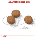 Size Health Nutrition Maxi Puppy