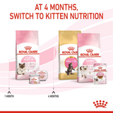 Feline Health Nutrition Mother & Babycat