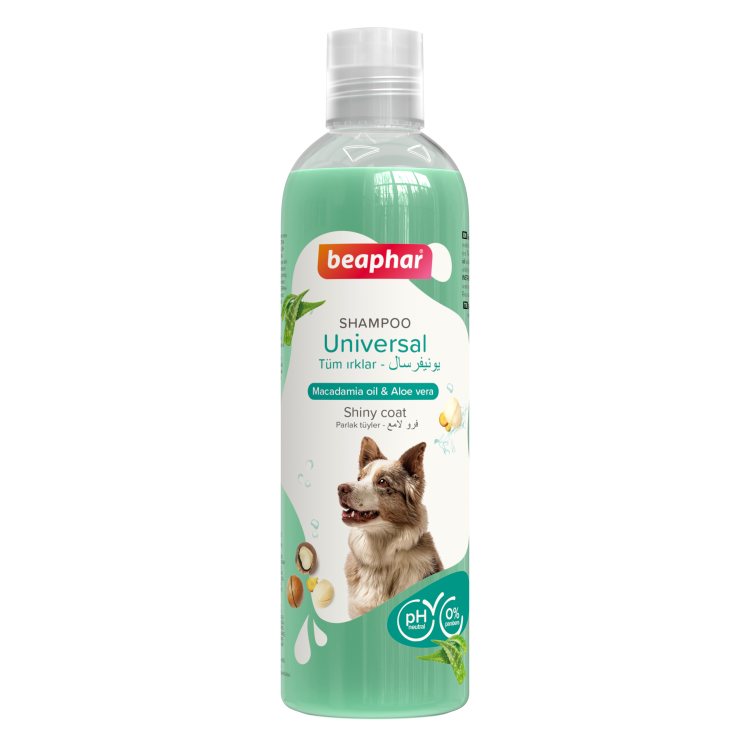 Beaphar mouthwash sale