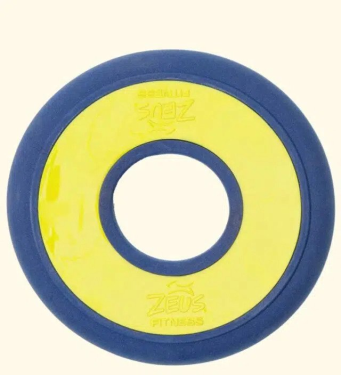 Zeus Fitness Fetch Disc