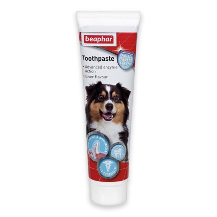 Dog toothpaste