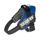 IDC POWAIR harness - Blue  Size Large