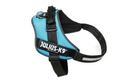 IDC Powerharness - Aquamarine  Size 4