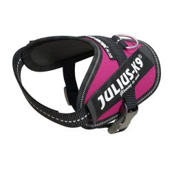IDC Powerharness - Dark Pink  Size Baby 2