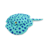Chill Out - Stingray