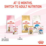 Feline Health Nutrition Kitten Sterilised Jelly (WET FOOD - Pouches) 12 x 85g