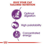 Feline Health Nutrition Sensible