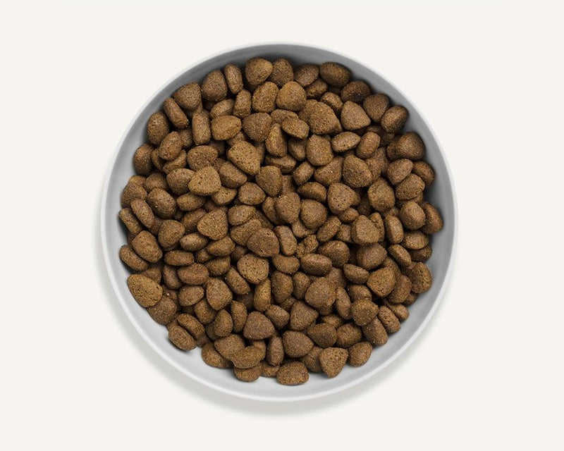 Canagan Free Range Chicken Dry Dog Food
