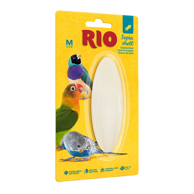 RIO Sepia Shell M