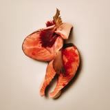 Carnilove Salmon & Turkey For Large Breed Puppies