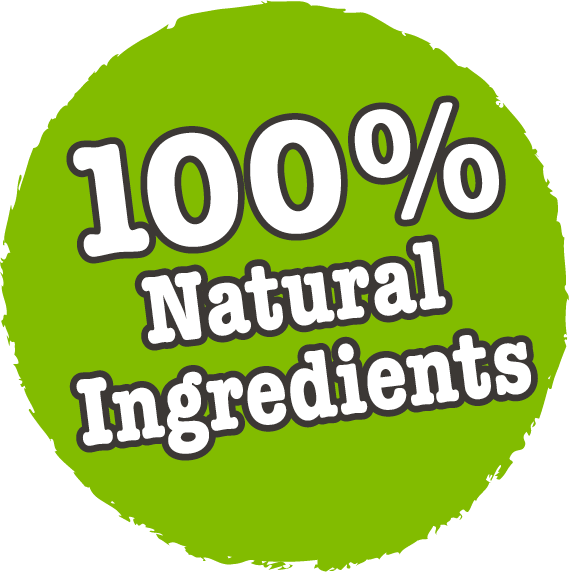Little BigPaw Chicken Adult Wet Dog Food 390g