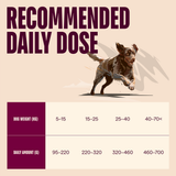 Carnilove Lamb & Wild Boar For Adult Dogs