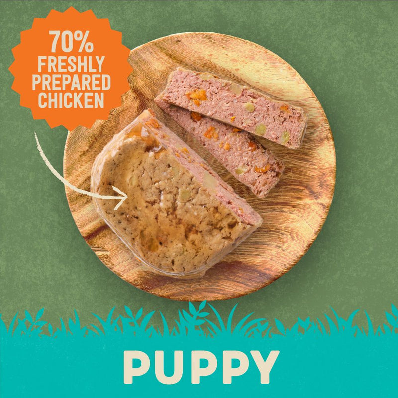 Harringtons Chicken & Potato Grain Free Wet Puppy Food 380g
