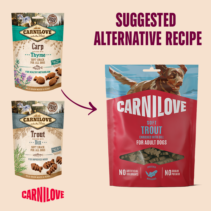 Carnilove Trout enriched with Dill Soft Snack for Dogs 200g