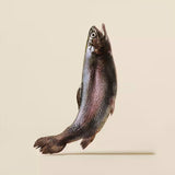 Carnilove Trout enriched with Dill Soft Snack for Dogs 200g