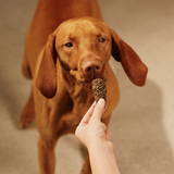 Carnilove Turkey & Rabbit Jerky Snack for Dogs 100g