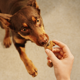 Carnilove Ostrich with Blackberries Crunchy Snack for Dogs 200g