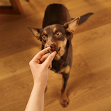 Carnilove Duck enriched with Rosemary Soft Snack for Dogs 200g