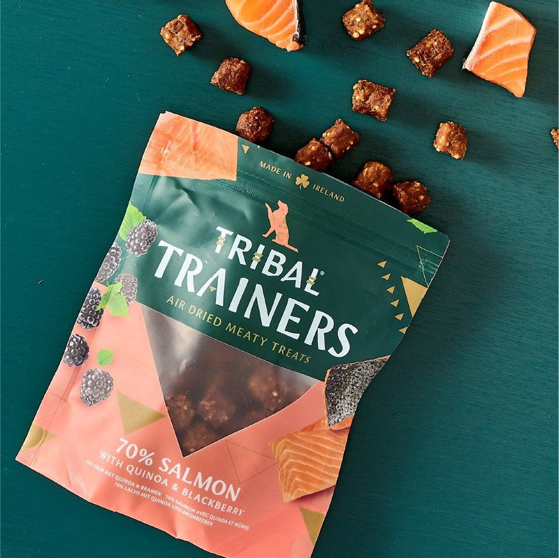Tribal Trainers Salmon Quinoa & Blackberry Dog Treats 80g