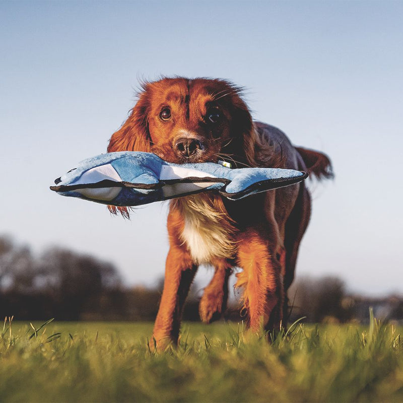 Beco Pets Rough & Tough Dolphin Recycled Dog Toy