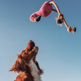 Beco Pets Dual Material Soft Flamingo Recycled Dog Toy