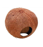 ebi Coconut Globe House Hide/Resting Spot for Small Pets