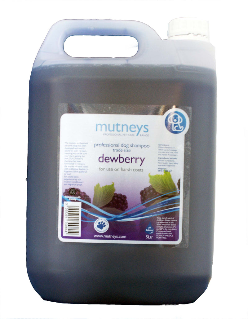 Dewberry Shampoo 5 LTR