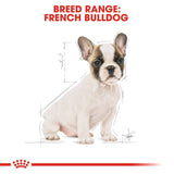 Breed Health Nutrition French Bulldog Puppy 3 KG