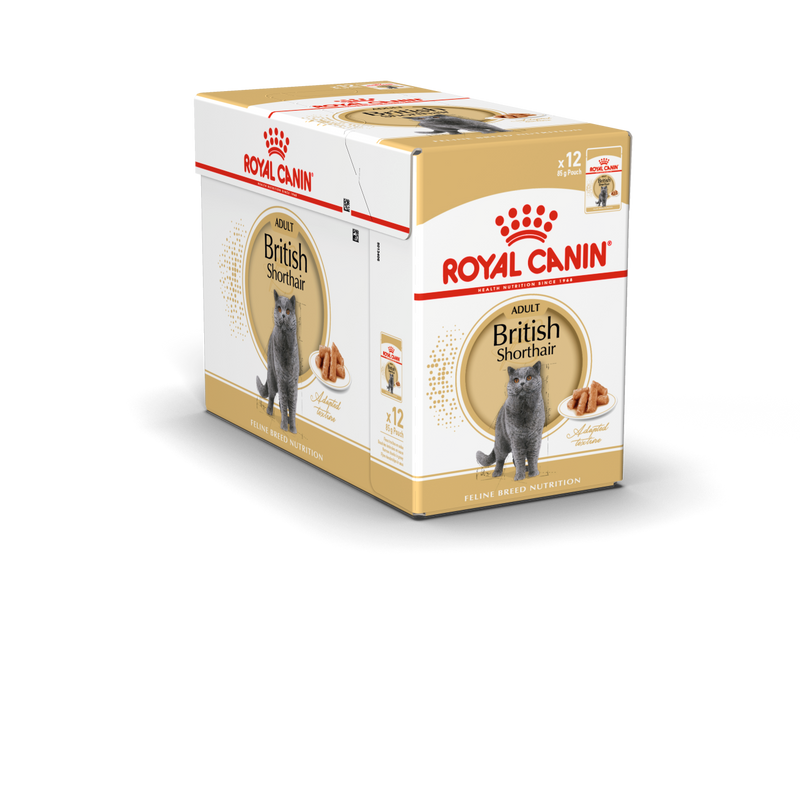 Royal Canin British Shorthair Adult in Gravy Wet Food Pouches