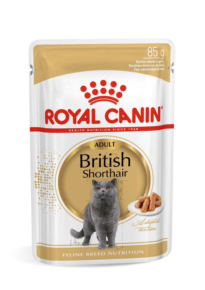 Royal Canin British Shorthair Adult in Gravy Wet Food Pouches