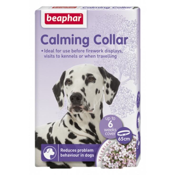 Lavender Collar for Dog