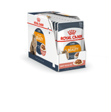 Royal Canin Intense Beauty in Gravy Wet Food Pouches