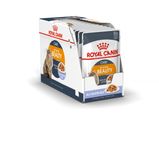 Royal Canin Intense Beauty in Jelly Wet Food Pouches