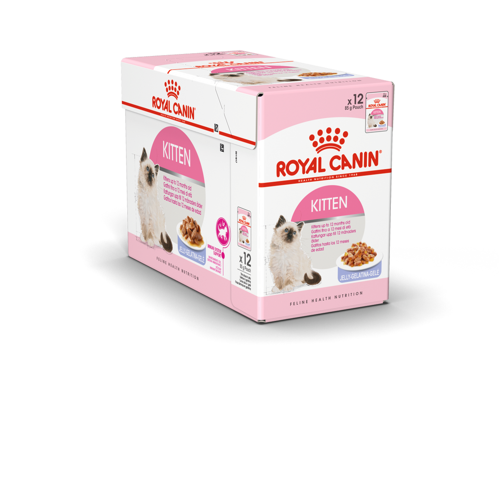 Royal Canin Kitten in Jelly Wet Food Pouches