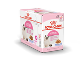 Royal Canin Kitten in Jelly Wet Food Pouches