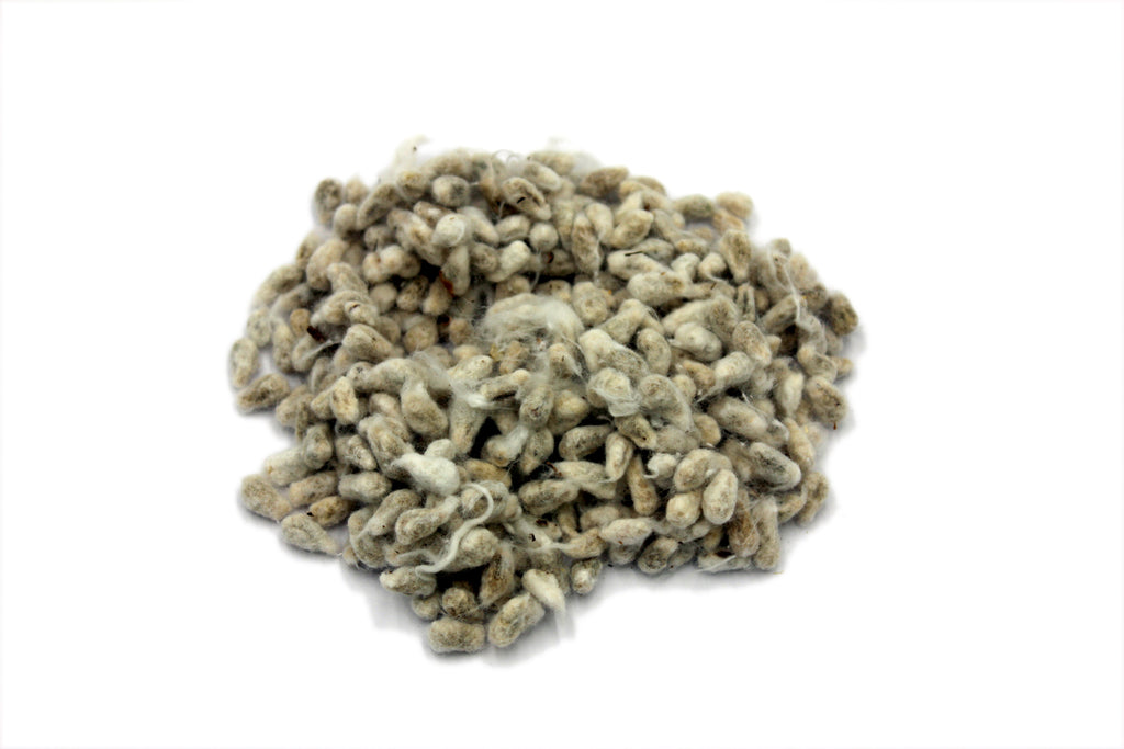 Whole Cotton Seed