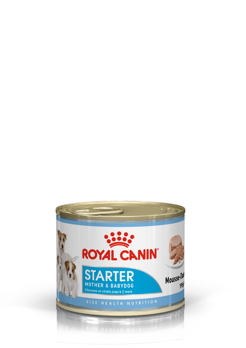 Canine Health Nutrition Starter Mousse (WET FOOD - Cans) 12 x 195g