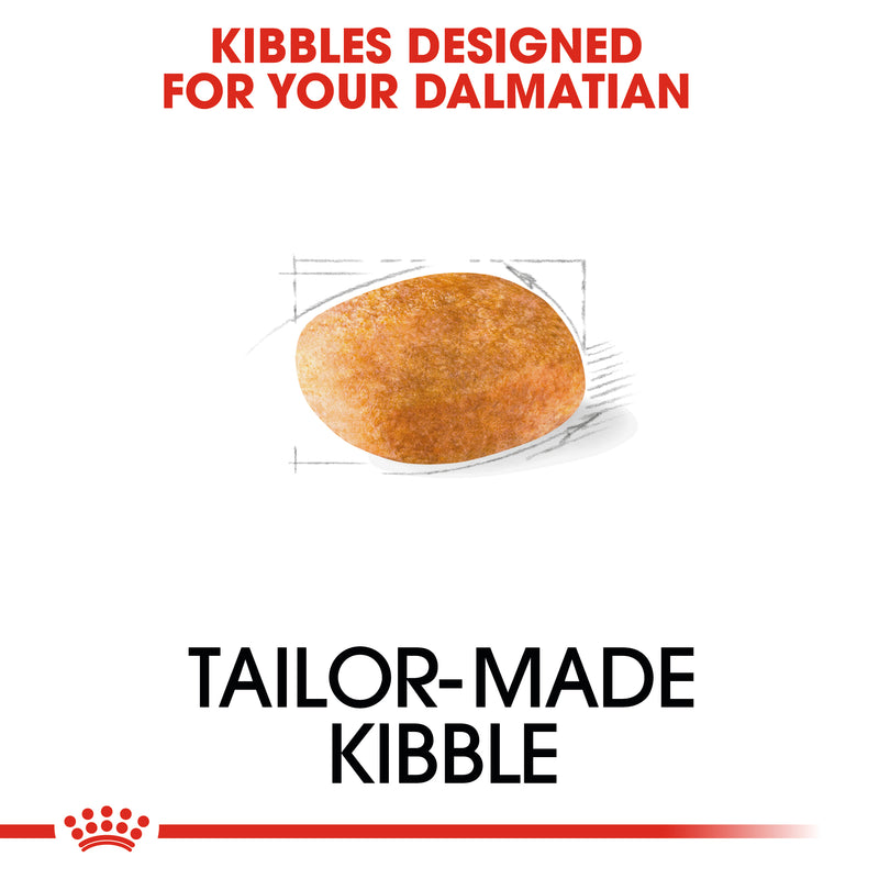 الغذاء الصحي لسلالة دالماتيان للكبار 12 كلغ