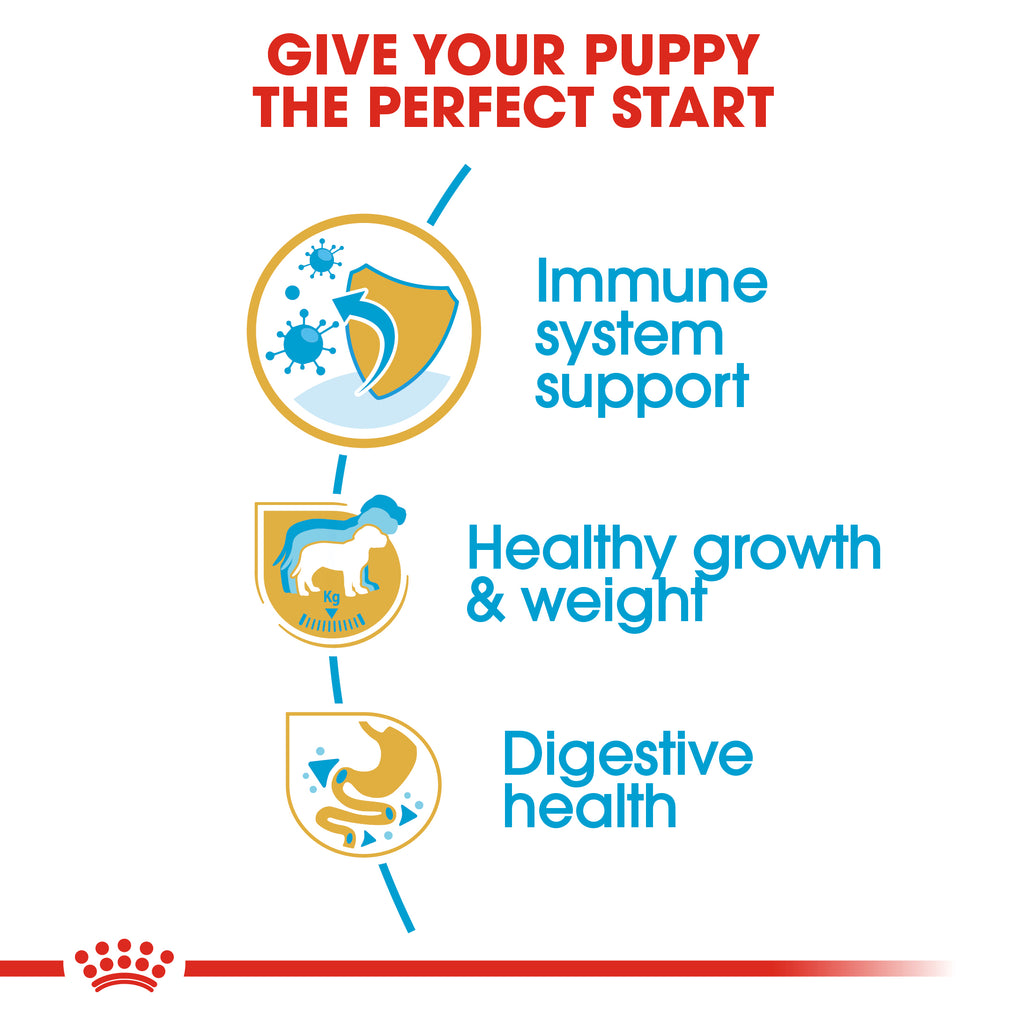 Breed Health Nutrition Labrador Puppy