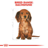 Breed Health Nutrition Dachshund Puppy 1.5 KG