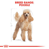 Breed Health Nutrition Poodle Adult Wet Food Pouches